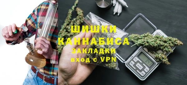 PSILOCYBIN Мегион