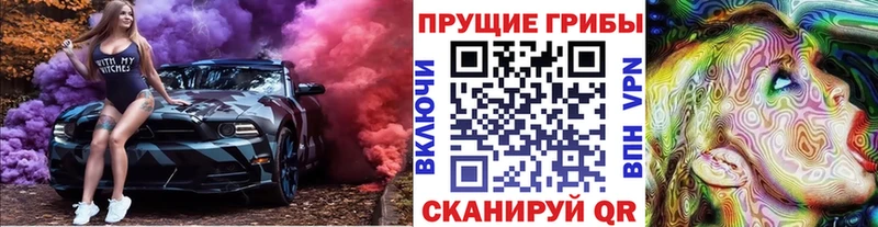 ОМГ ОМГ онион Тогучин Галлюциногенные грибы Psilocybine cubensis