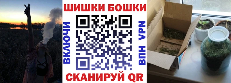 где найти Тогучин Каннабис конопля